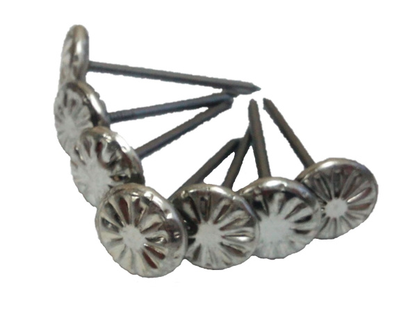 Гвозди мебельные 1,6 х 25  (10)