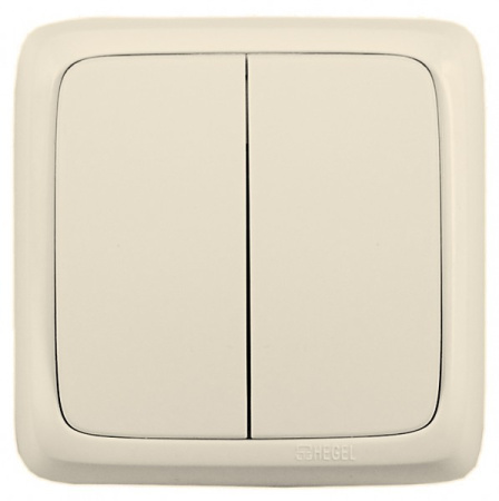 Выкл. наружный 2-кл. HEGEL (сл/кость)